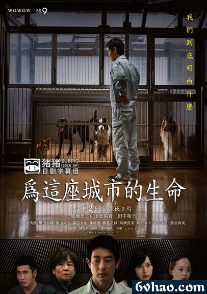 为这座城市的生命 全一回