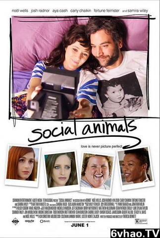 社交动物