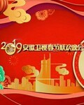2019安徽卫视春节联欢晚会