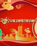2019Ӵ