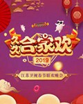 2019江苏卫视春节晚会