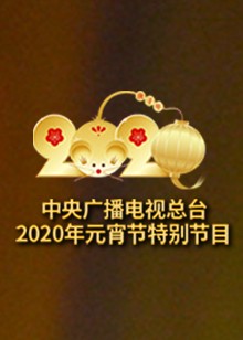 2020央视元宵节特别节目