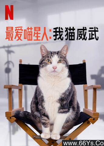 最爱喵星人：我猫威武