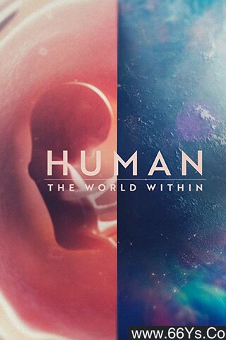 人类：体内的世界