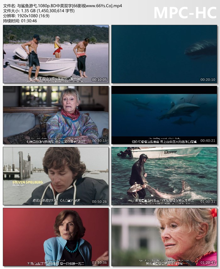 2021年美国8.1分纪录片《与鲨鱼游弋》