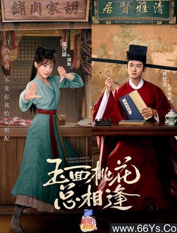 玉面桃花总相逢[全集]