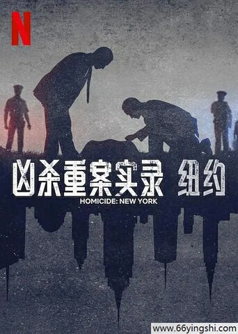 凶杀重案实录：纽约