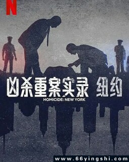 凶杀重案实录：纽约