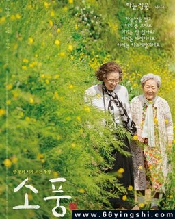 郊游2024