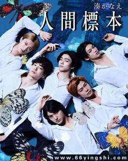 ����걾[ȫ��]