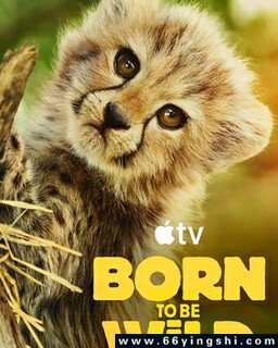 ������Ұ