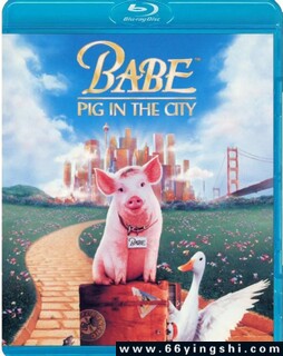 С������2��С������