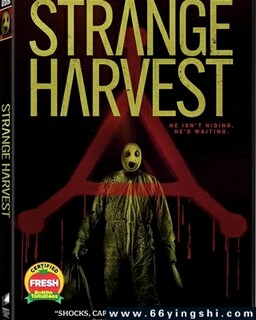 �����ո�