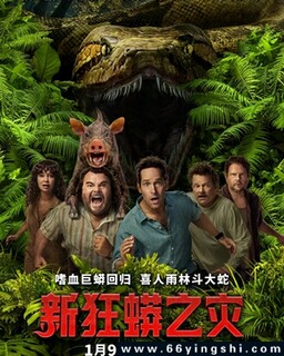 �¿���֮��