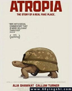 ������Ƥ��