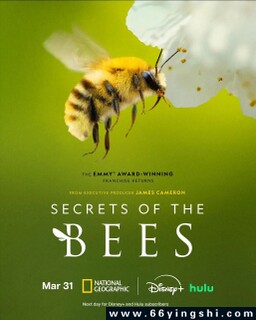 �۷������