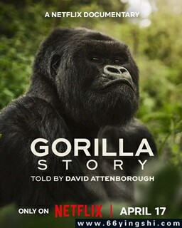 ���������Ǳ��������ɵĹ���