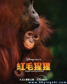 ��ë����